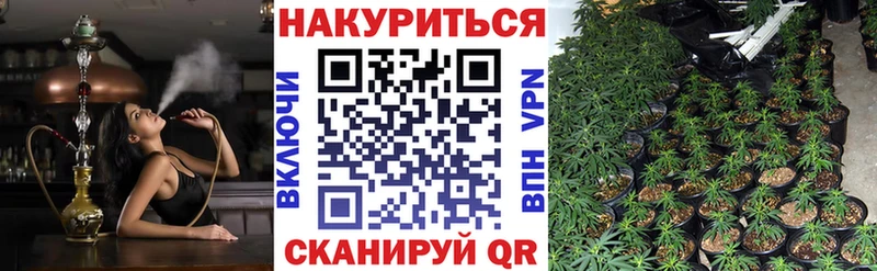 это состав  Новодвинск  Каннабис семена 